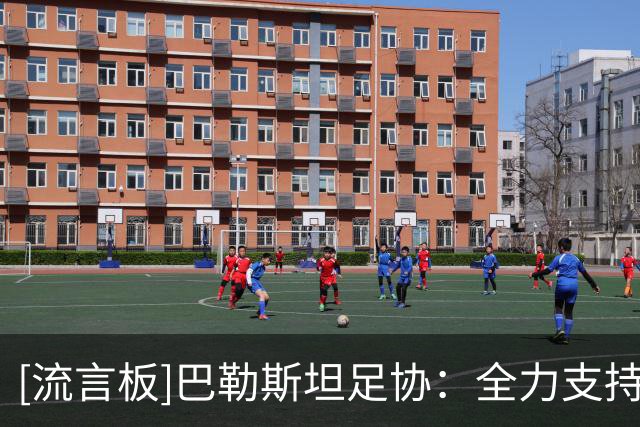 [流言板]巴勒斯坦足协：全力支持沙特，坚信其有能力办好2027亚洲杯